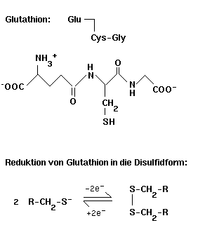 Grafik: Glutathion